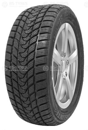 Delinte Winter WD1 235/50 R19 99H