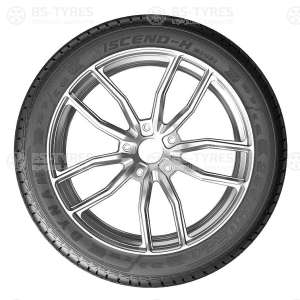 Dynamo Hiscend-H MSU01 315/35 R21 111Y