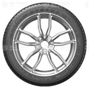 Dynamo Hiscend-H MSU01 315/35 R21 111Y