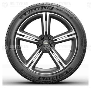 Michelin Pilot Alpin 5 SUV 265/55 R19 113H