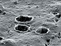 ig30 шарообразные пузырьки ig30 шарообразные пузырьки